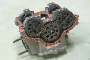 ﾀｹｶﾞﾜﾍｯﾄﾞ